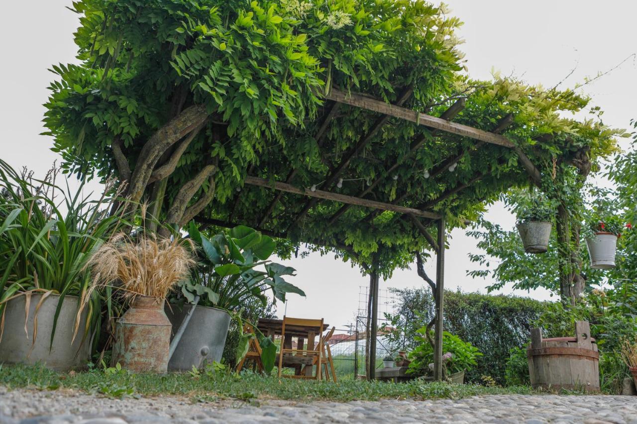 Il Germano Reale Bed & Breakfast Alba  Exterior photo
