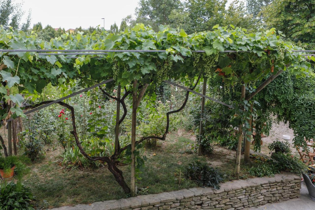 Il Germano Reale Bed & Breakfast Alba  Exterior photo