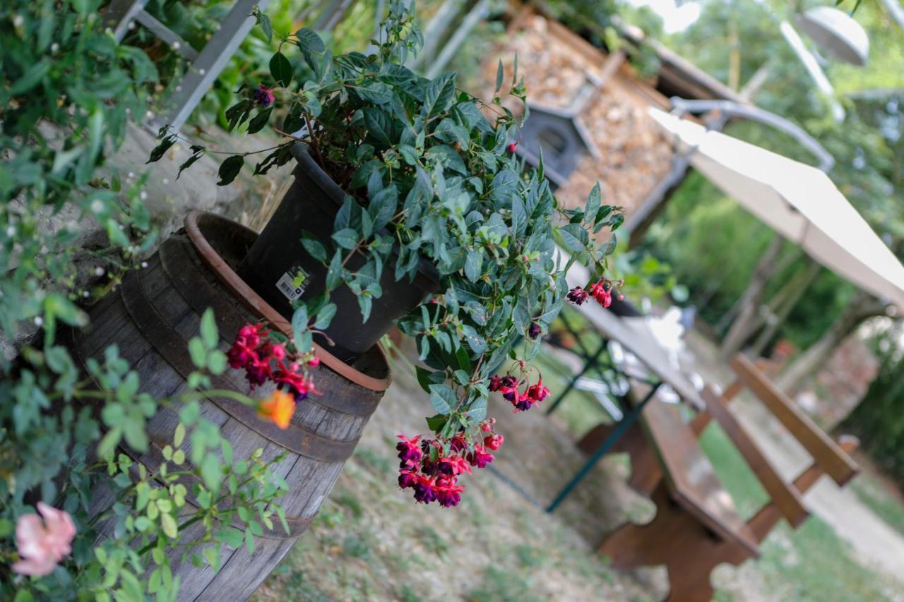 Il Germano Reale Bed & Breakfast Alba  Exterior photo