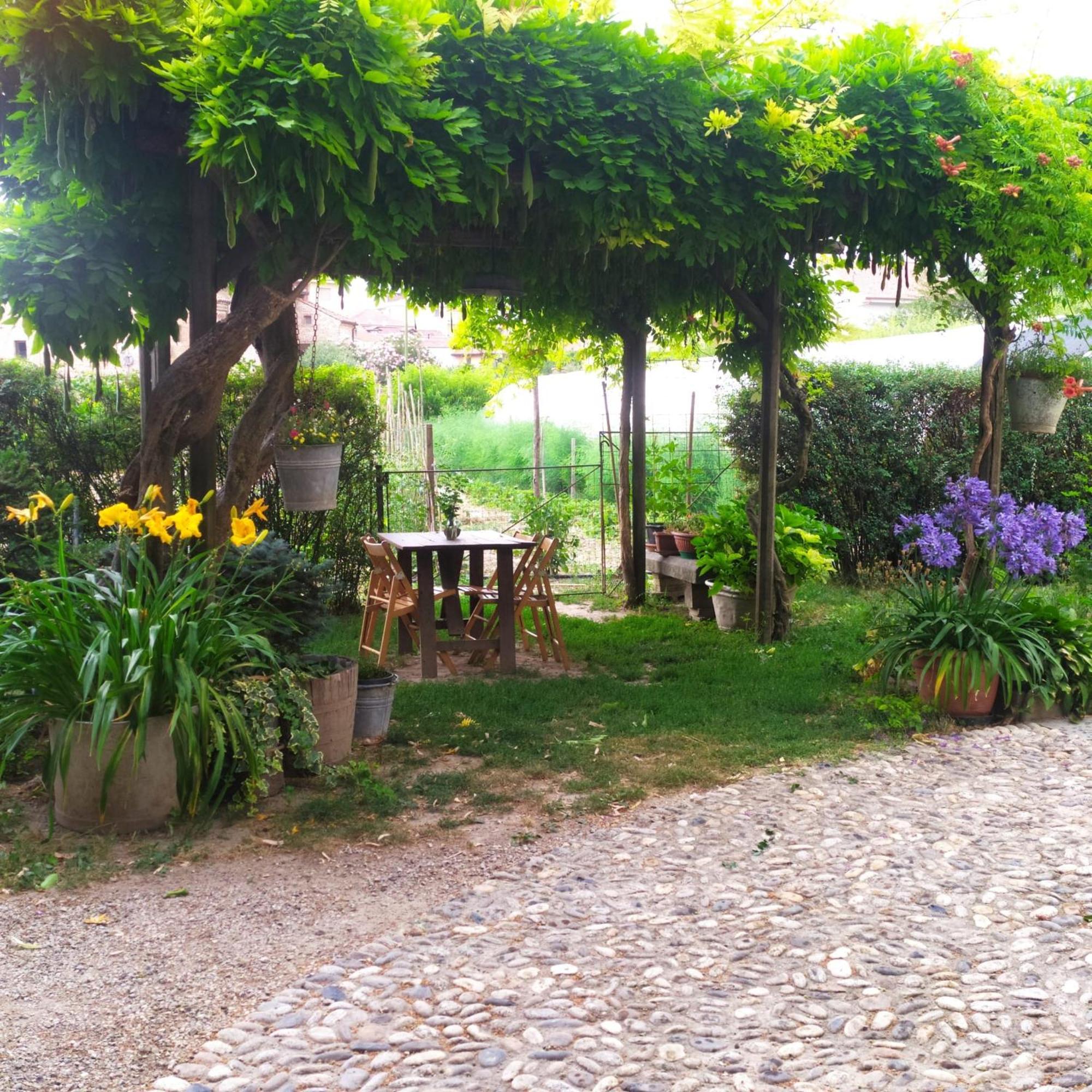 Il Germano Reale Bed & Breakfast Alba  Exterior photo